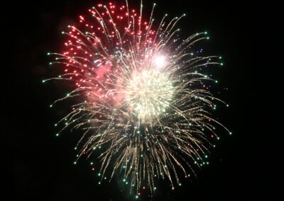 rsvp fireworks exploding fireworks